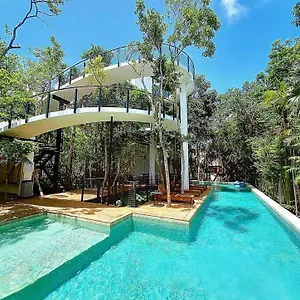 new-house-with-private-pool-in-the-jungle-of-tulum.quintano-roohotels.com/